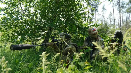 Russia Says Forces Took Shcherbakovka and Novoye Pole