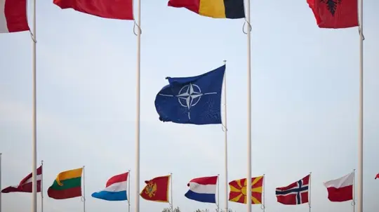Pavel Urges NATO to Show Its Teeth to Russia