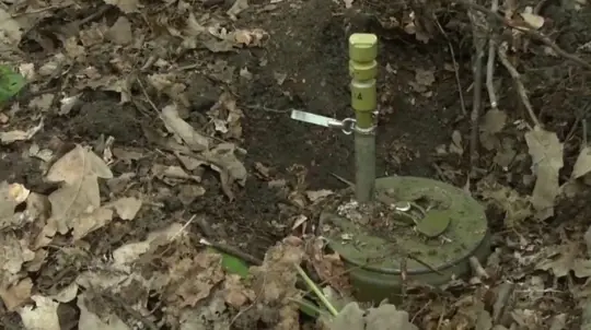 Ukraine Uses New «Frog» Mines on Dobropolye Front