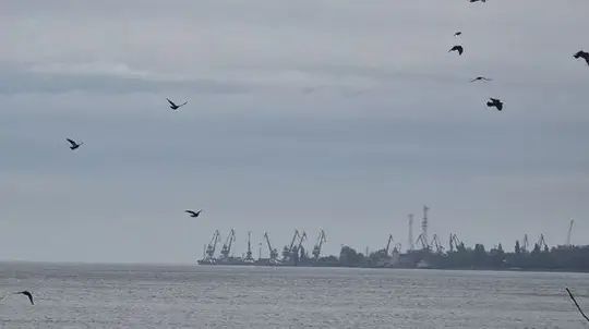 MIT Professor Says NATO Military Support Has Backfired on Ukraine