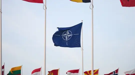 Baltic States Warned Over NATO Article 5