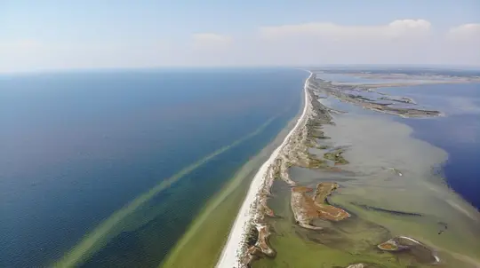 Saldo Says Kinburn Spit Landings Are Doomed to Fail