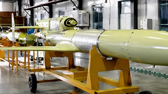 Knutov: Flamingo Missiles Assembled Underground Sites