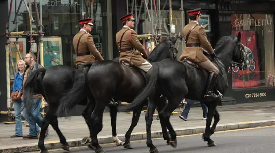 British Army Tests Camouflage for Combat Horses