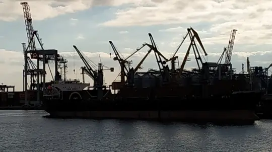 Vladimir Trukhan Explains Why Russia Is Not Sinking Ships Heading to Odesa