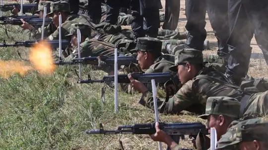 North Korean Troops Could Free Russian Forces, Analyst Says